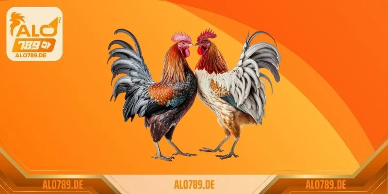 Phối hợp với luyện tập phù hợp