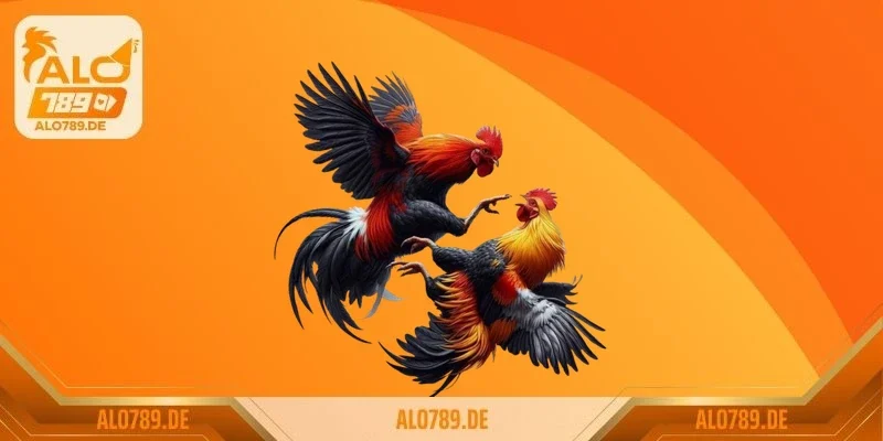 Top 10 giống gà đá hay nhất thế giới sư kê không thể bỏ qua 3 Gà Philippine