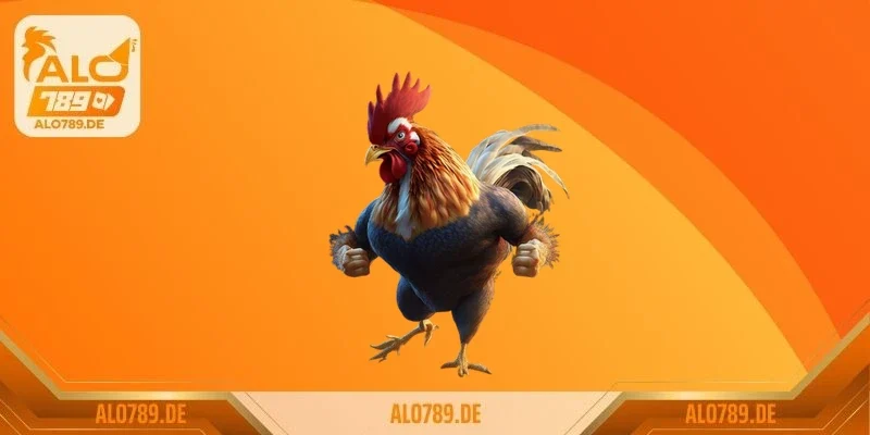 Giá trị kinh tế và ý nghĩa của gà mặt quỷ