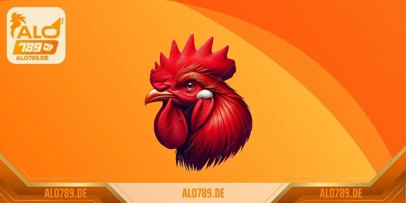 Màn ra mắt đầy uy lực