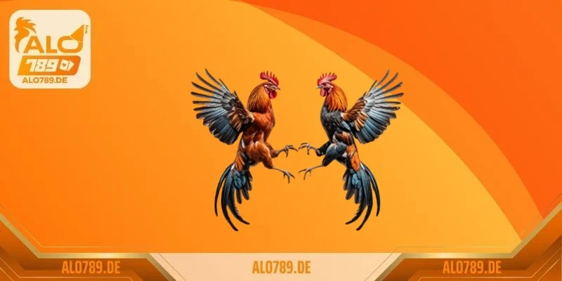 Tuổi gà phù hợp