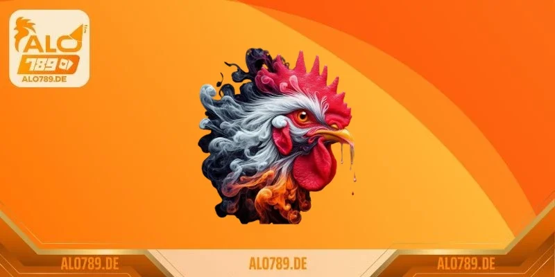 Cách thả gà đá cựa sắt chiếm ưu thế – Bạn đã biết chưa? 2 Các lưu ý khi sư kê chuẩn bị lên cựa