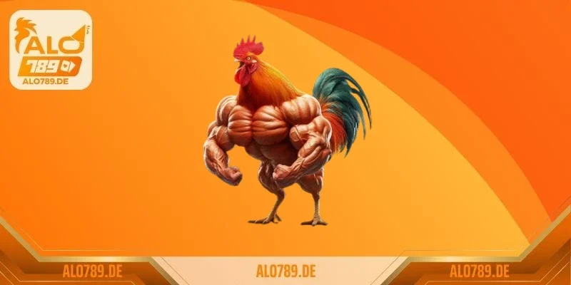 Lưu ý đến nơi ở của các chú gà