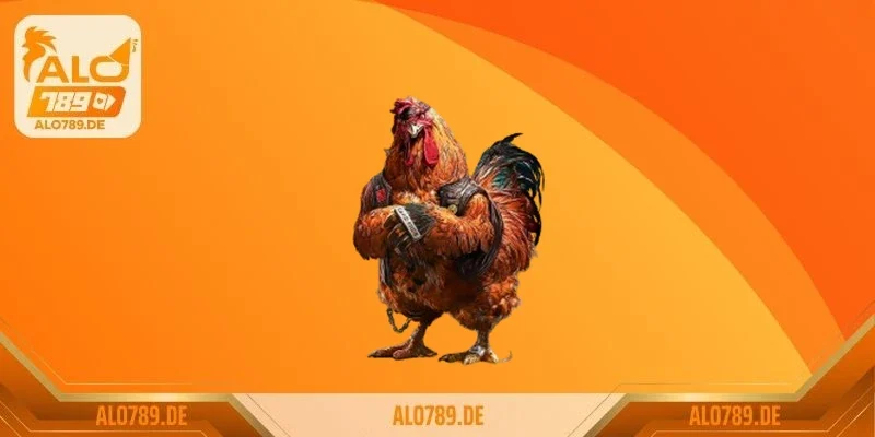 Kịch tính và bất ngờ