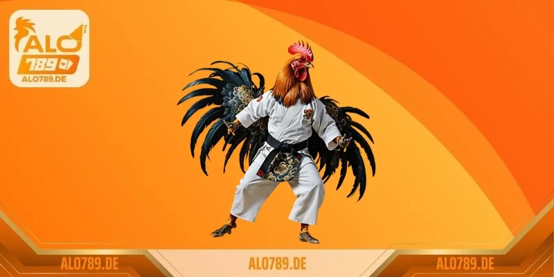 Chăm sóc gà chọi – Bí quyết nuôi dưỡng chiến kê bất bại 2 Cho gà chạy lồng và tập nhảy