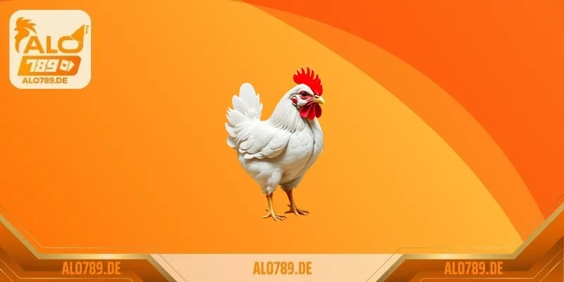 Theo dõi trận đấu trực tuyến